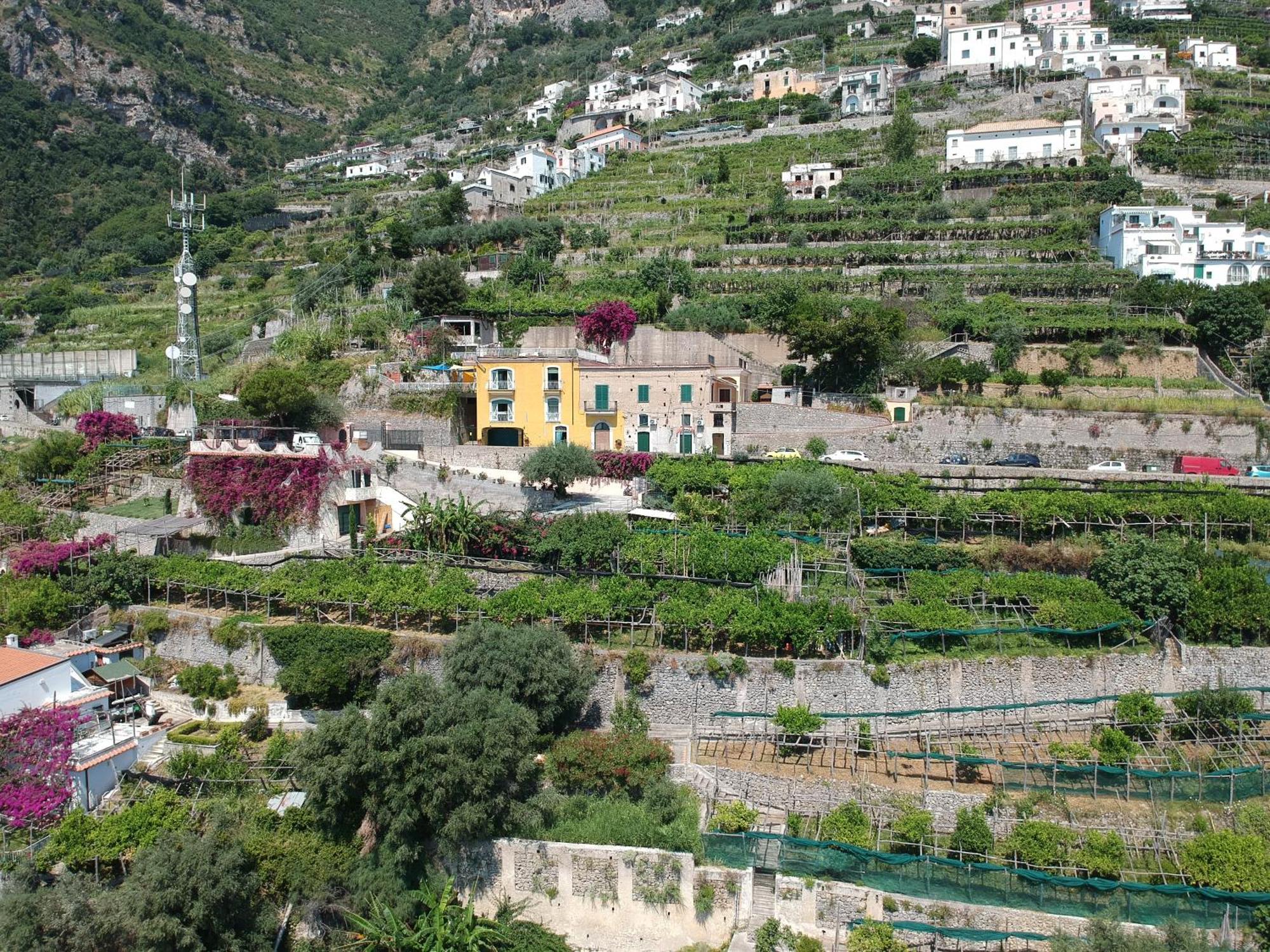 Fuoco D'amalfi Iazzetta