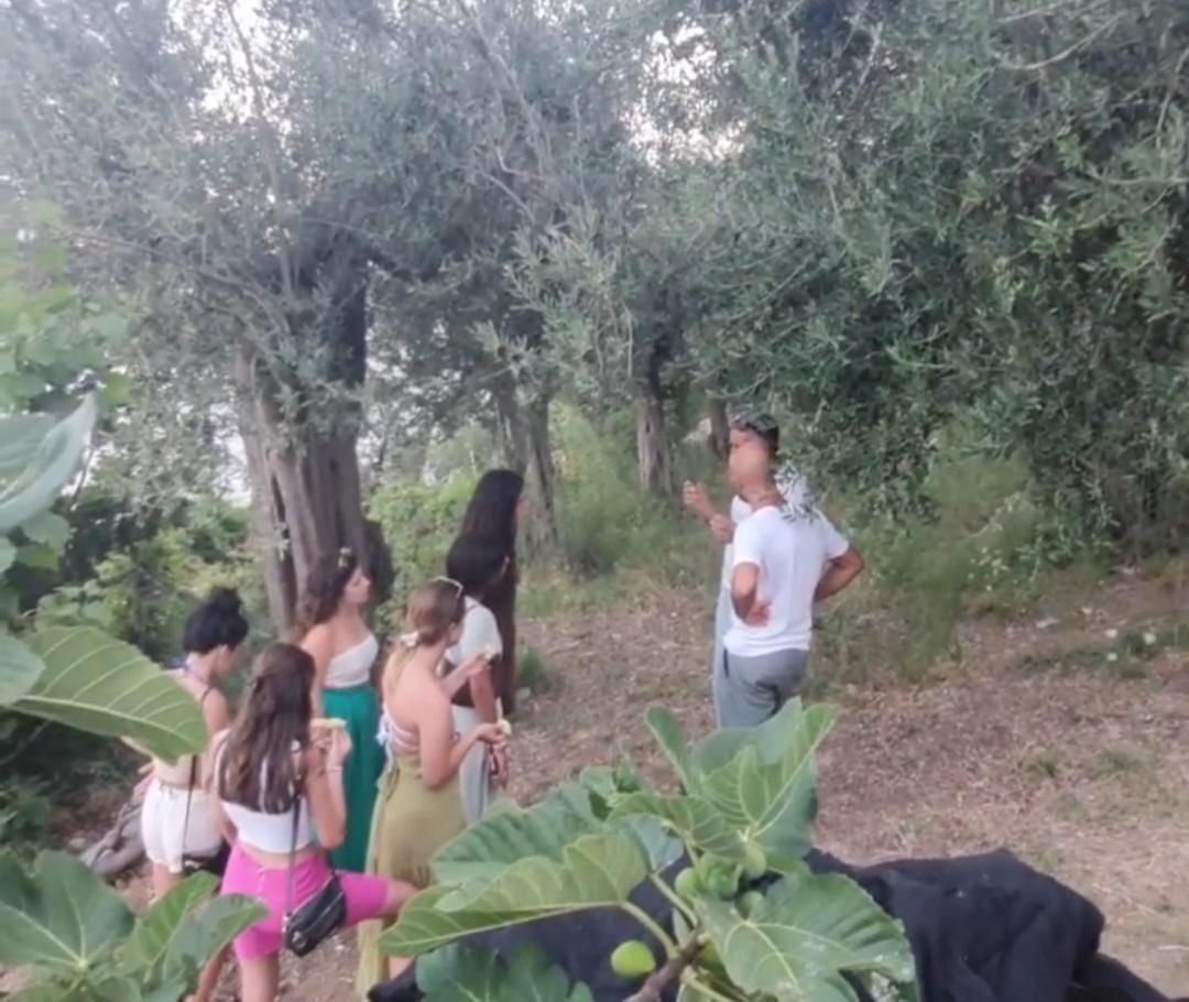 Guest house Fuoco D'amalfi Iazzetta 2*